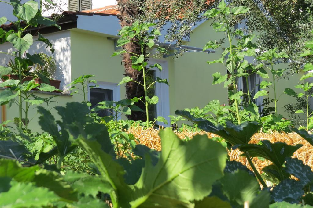 Apartment Casetta Порторож Экстерьер фото